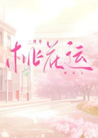 桃花运1-40集解说